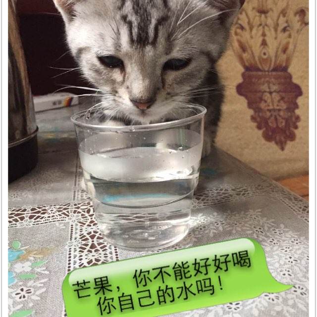 仿制假雅典州立大学毕业证